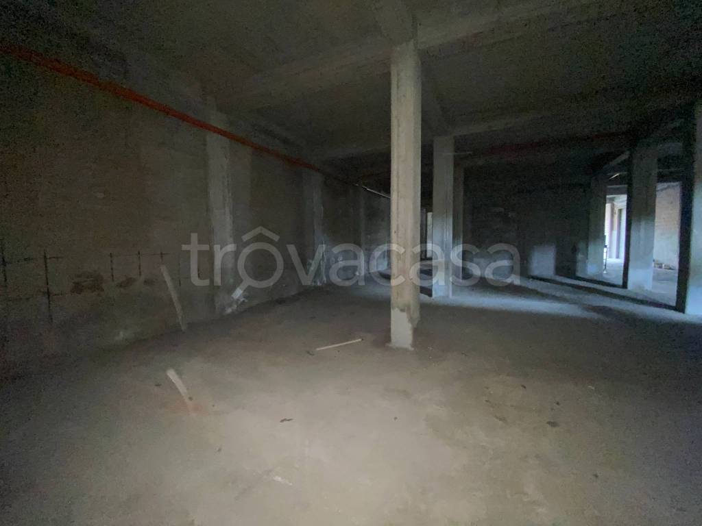 immagine annuncio 7 di 14