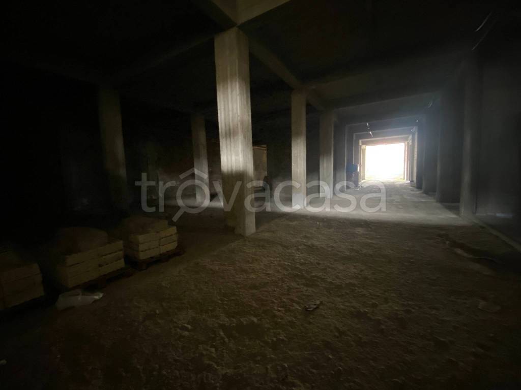 immagine annuncio 9 di 14