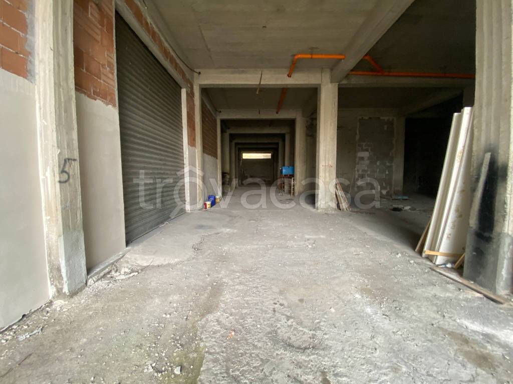 immagine annuncio 2 di 14