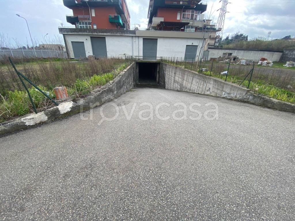 immagine annuncio 12 di 14