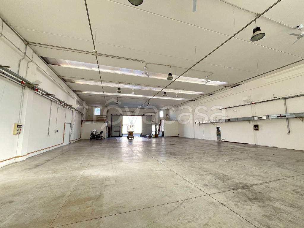 immagine annuncio 7 di 13