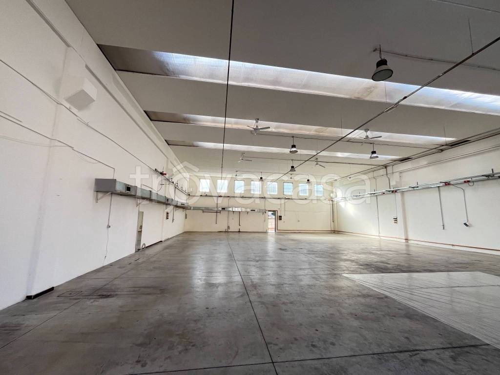 immagine annuncio 10 di 13