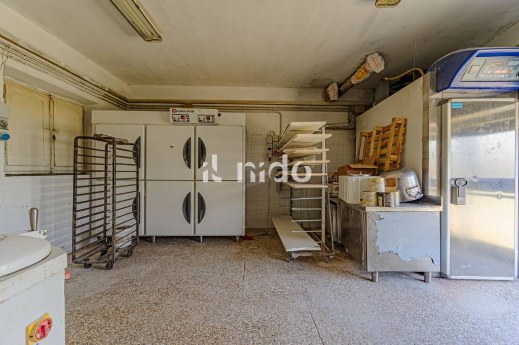 immagine annuncio 9 di 11