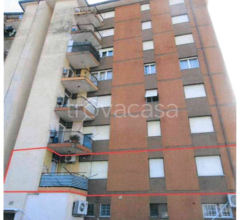 immagine annuncio 1 di 10