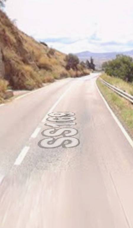 immagine annuncio 2 di 14