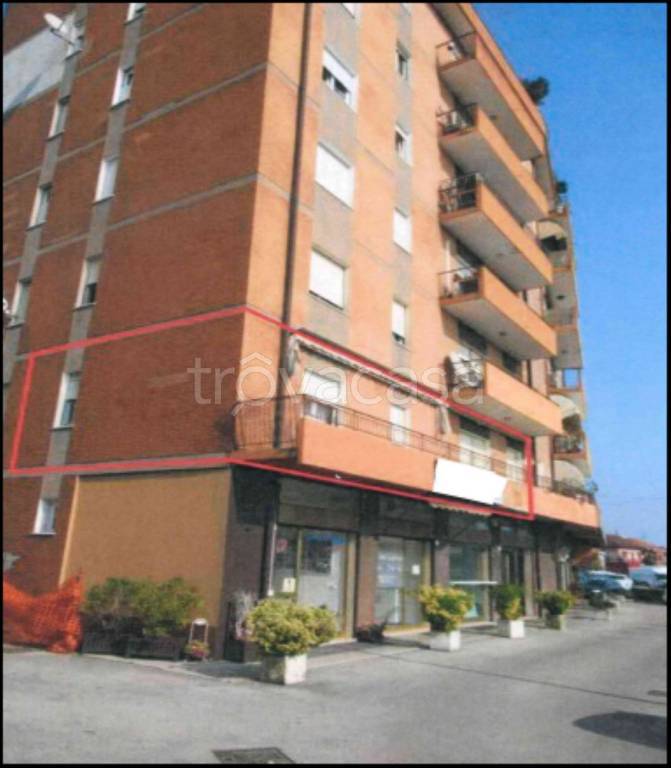 immagine annuncio 2 di 11