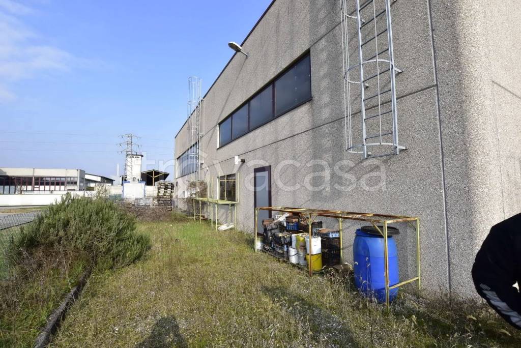 immagine annuncio 9 di 15