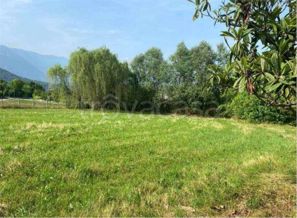 immagine annuncio 5 di 10