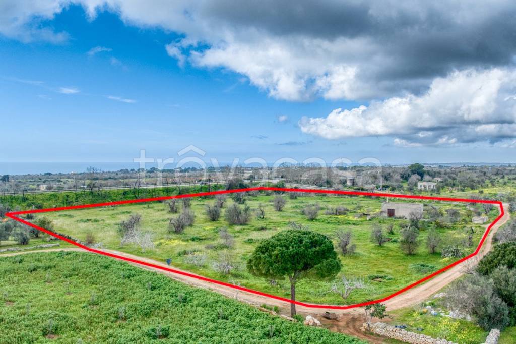 immagine annuncio 4 di 13