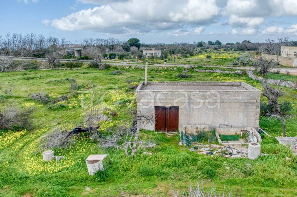 immagine annuncio 11 di 13