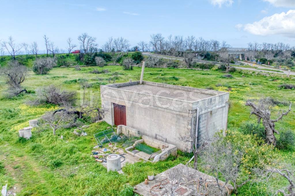 immagine annuncio 12 di 13