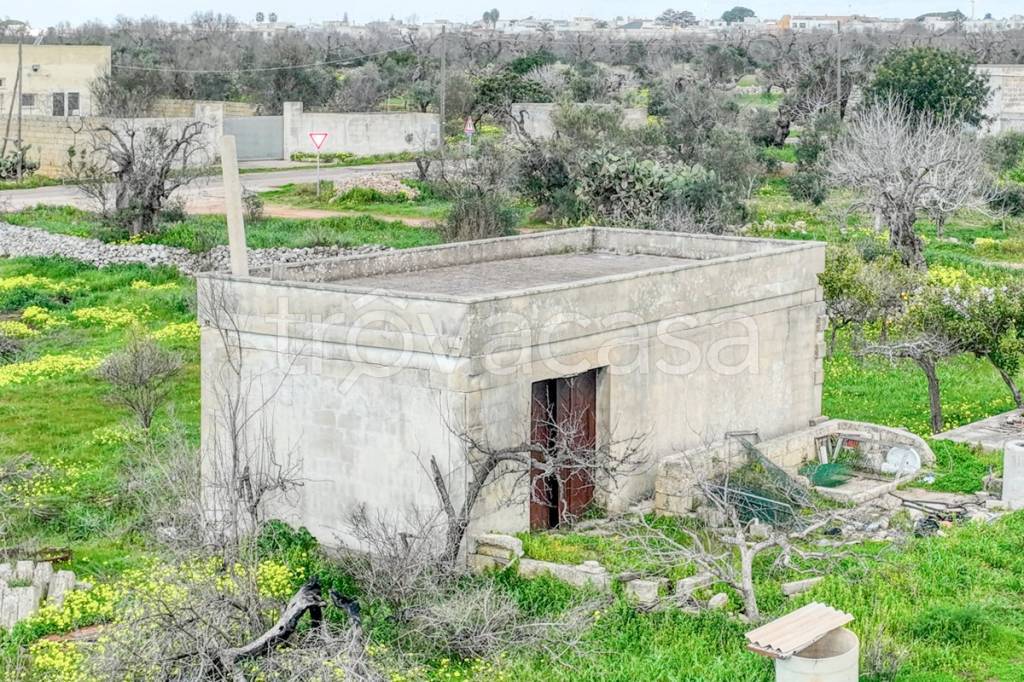 immagine annuncio 7 di 13