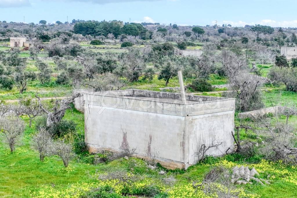 immagine annuncio 8 di 13