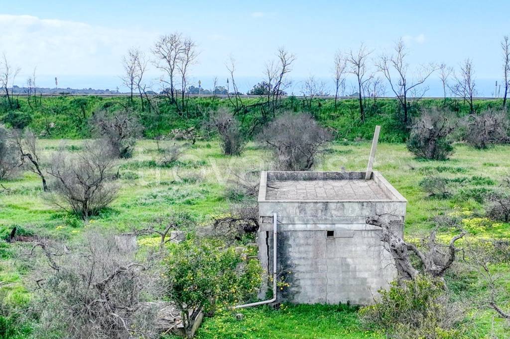 immagine annuncio 9 di 13