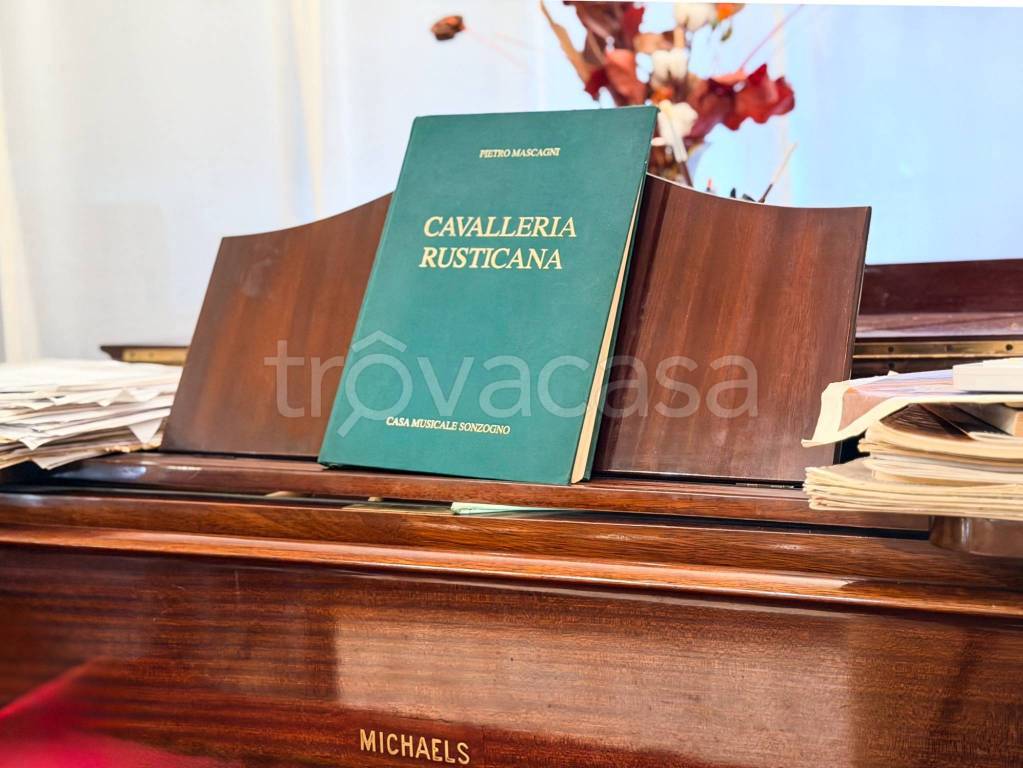 immagine annuncio 12 di 15