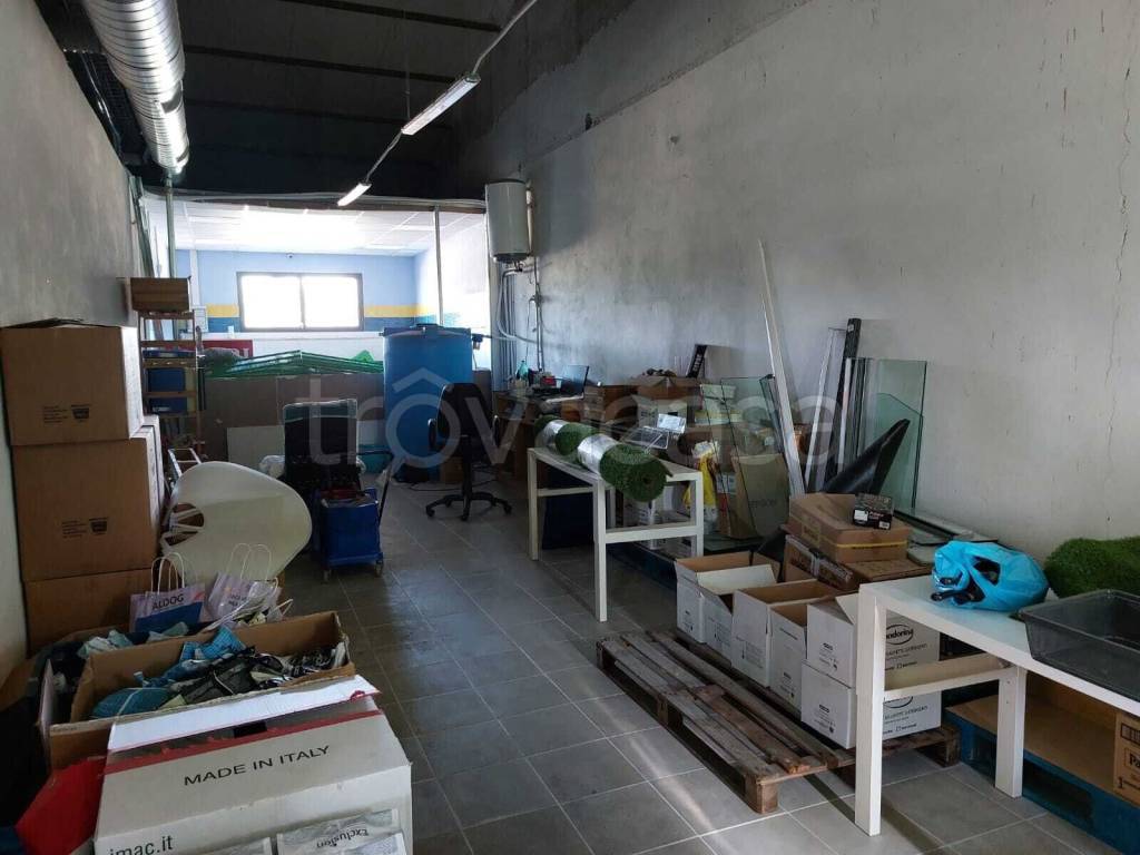 immagine annuncio 12 di 15