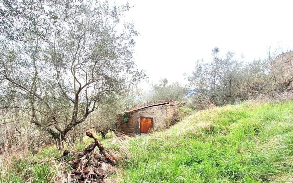 immagine annuncio 3 di 13