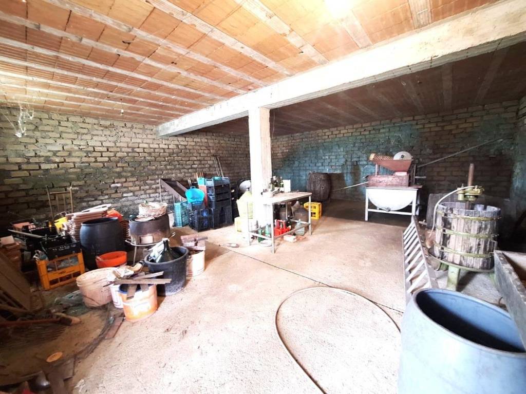 immagine annuncio 12 di 13