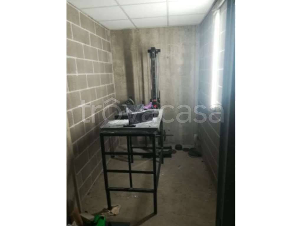 immagine annuncio 4 di 11