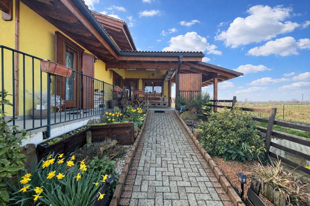 immagine annuncio 2 di 15