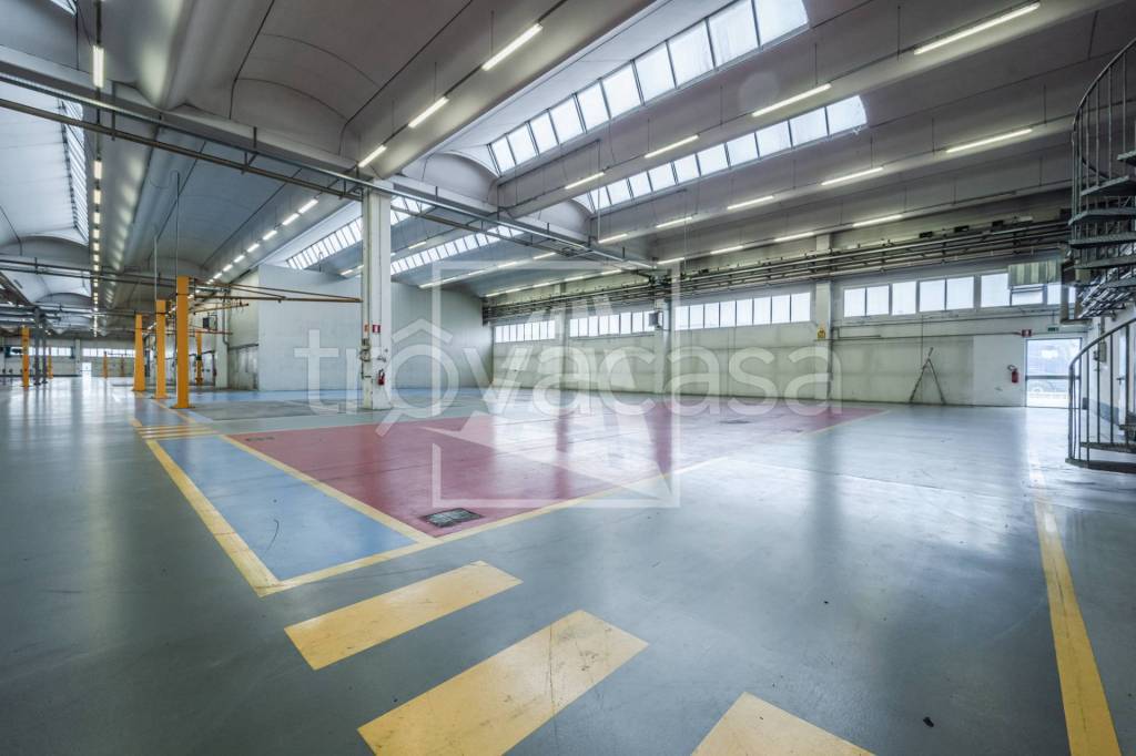 immagine annuncio 5 di 15