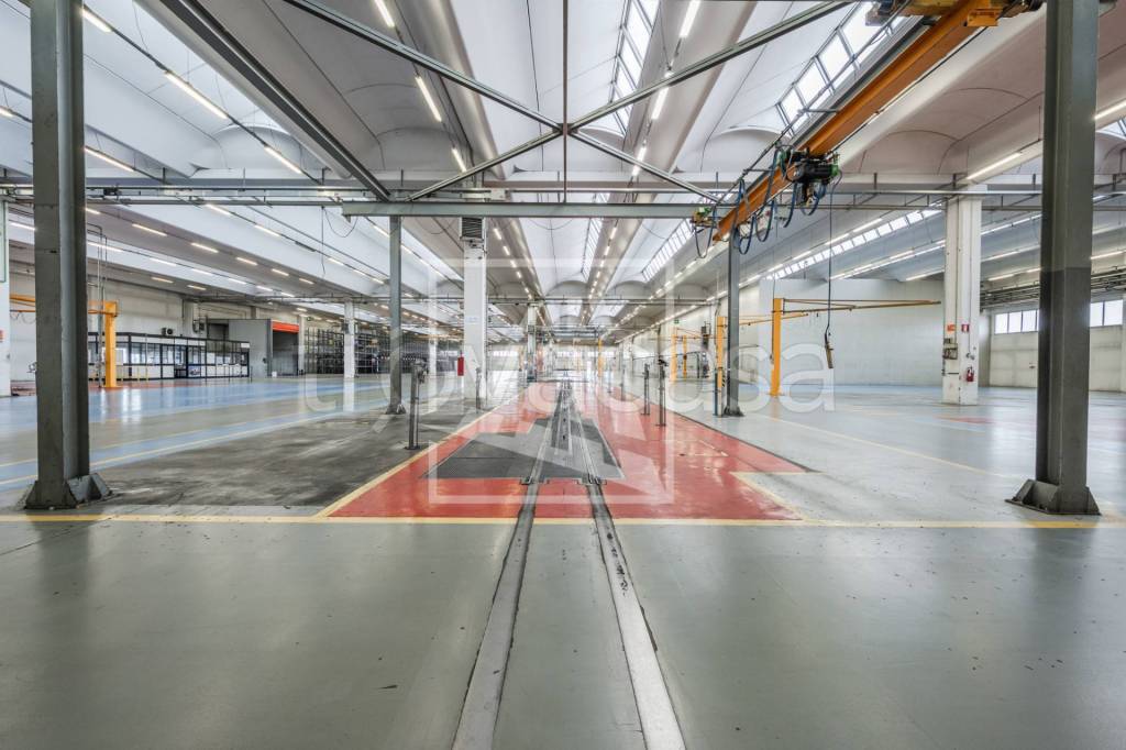 immagine annuncio 11 di 15