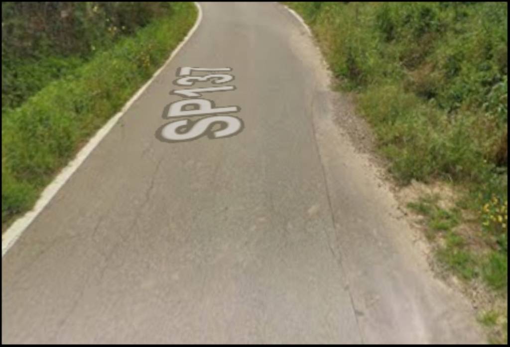 immagine annuncio 9 di 12