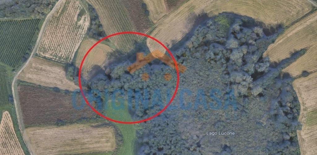 immagine annuncio 6 di 8