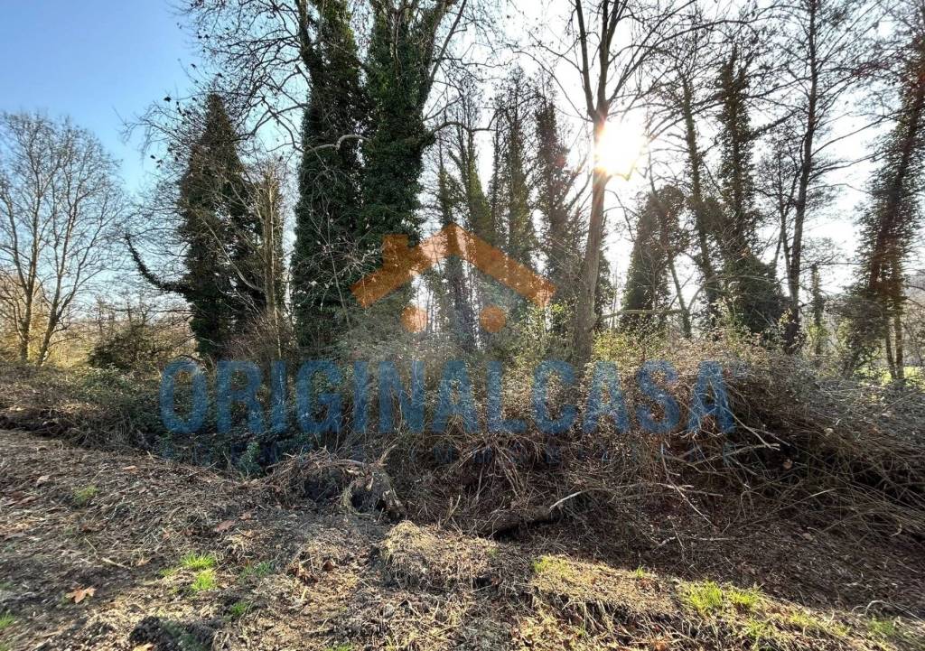 immagine annuncio 1 di 8