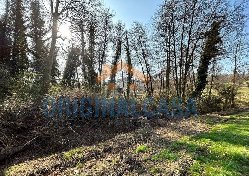 immagine annuncio 2 di 8