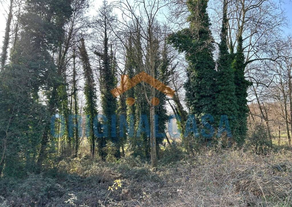 immagine annuncio 3 di 8