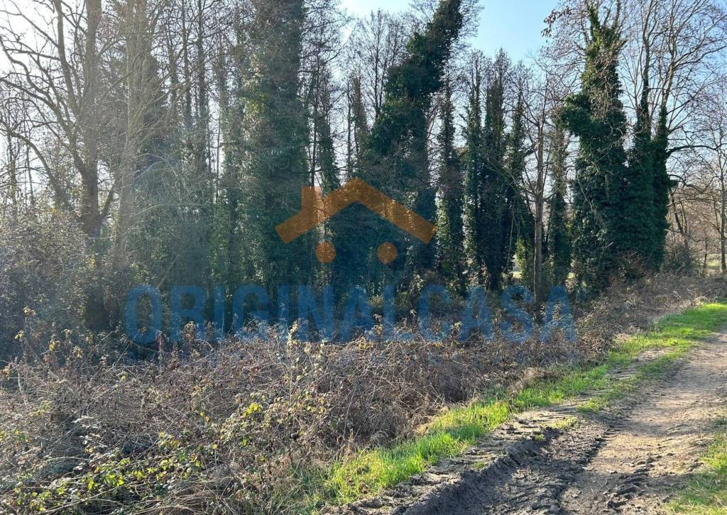 immagine annuncio 4 di 8