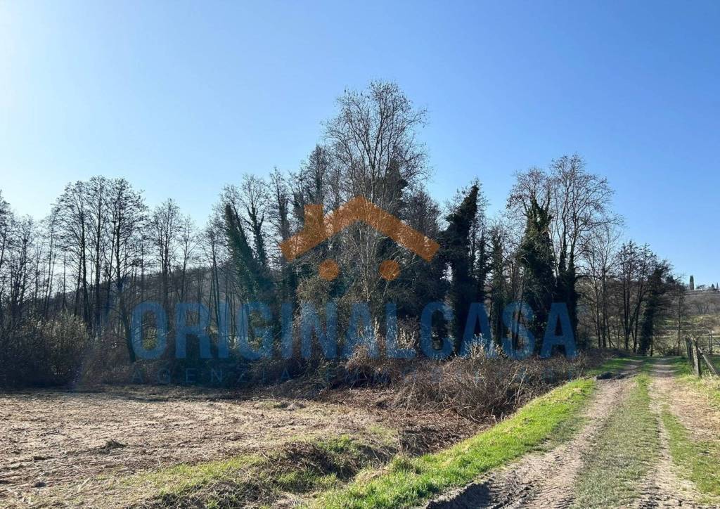 immagine annuncio 5 di 8