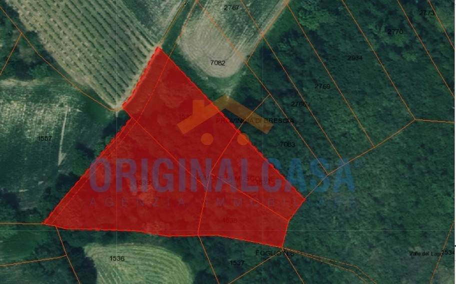 immagine annuncio 7 di 8