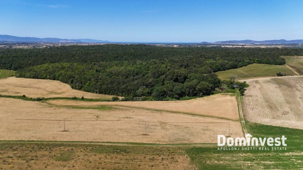 immagine annuncio 5 di 9