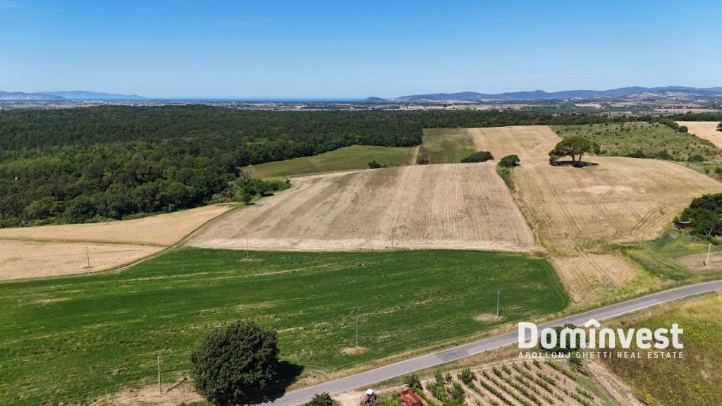 immagine annuncio 8 di 9