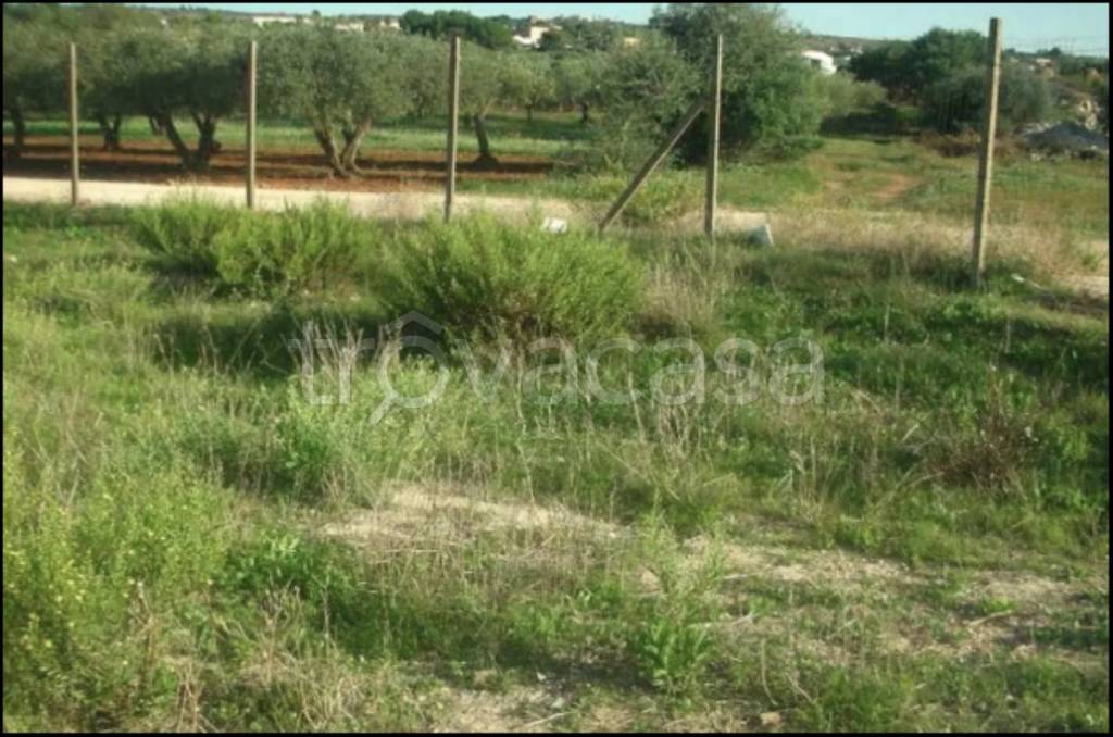 immagine annuncio 4 di 12