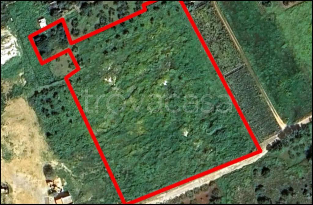 immagine annuncio 10 di 12