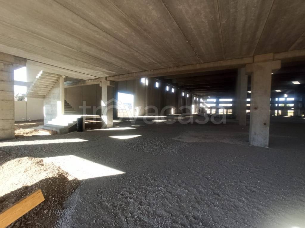 immagine annuncio 6 di 13