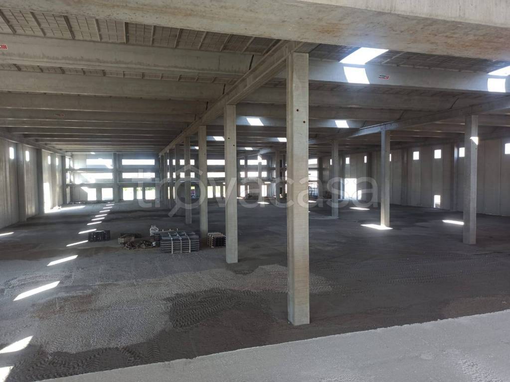 immagine annuncio 10 di 13