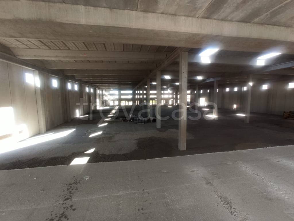 immagine annuncio 11 di 13