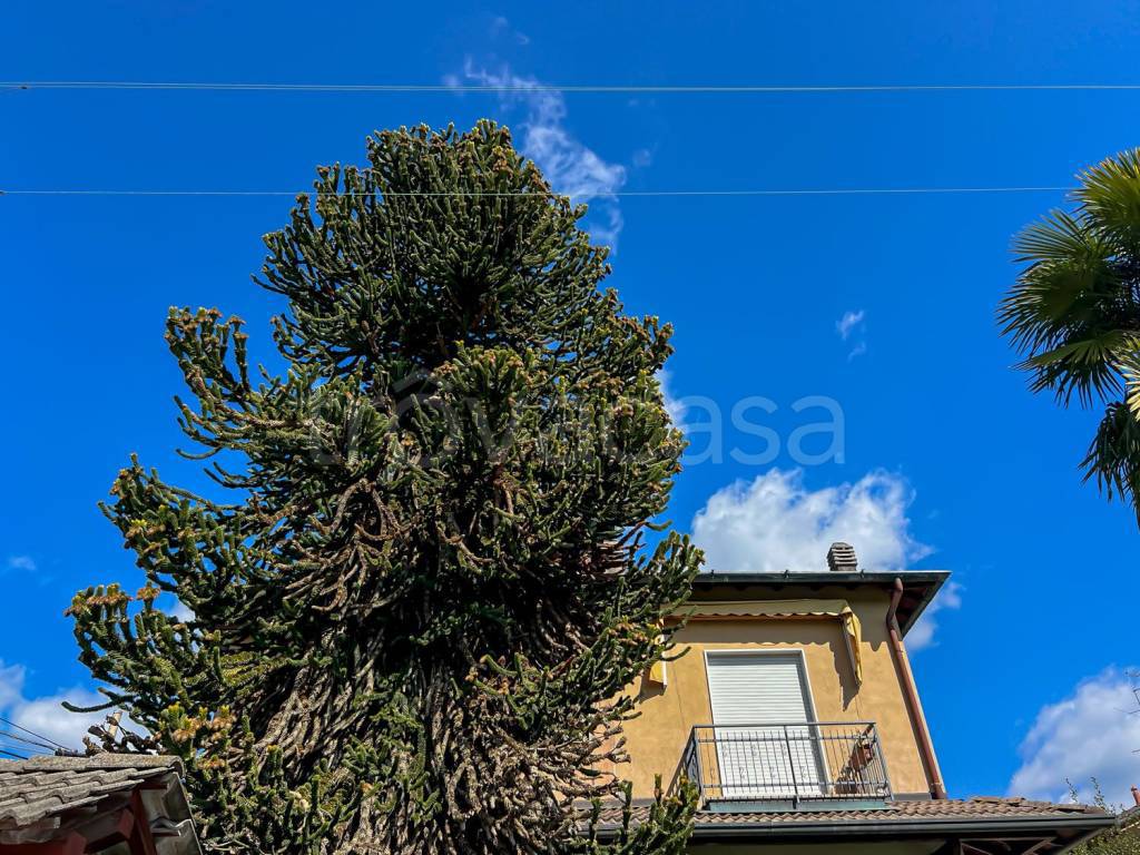 immagine annuncio 13 di 14