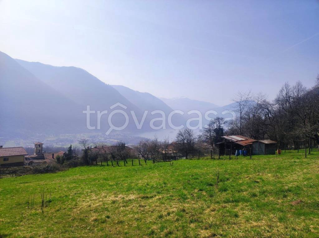 immagine annuncio 4 di 12