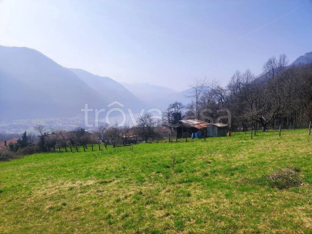 immagine annuncio 11 di 12