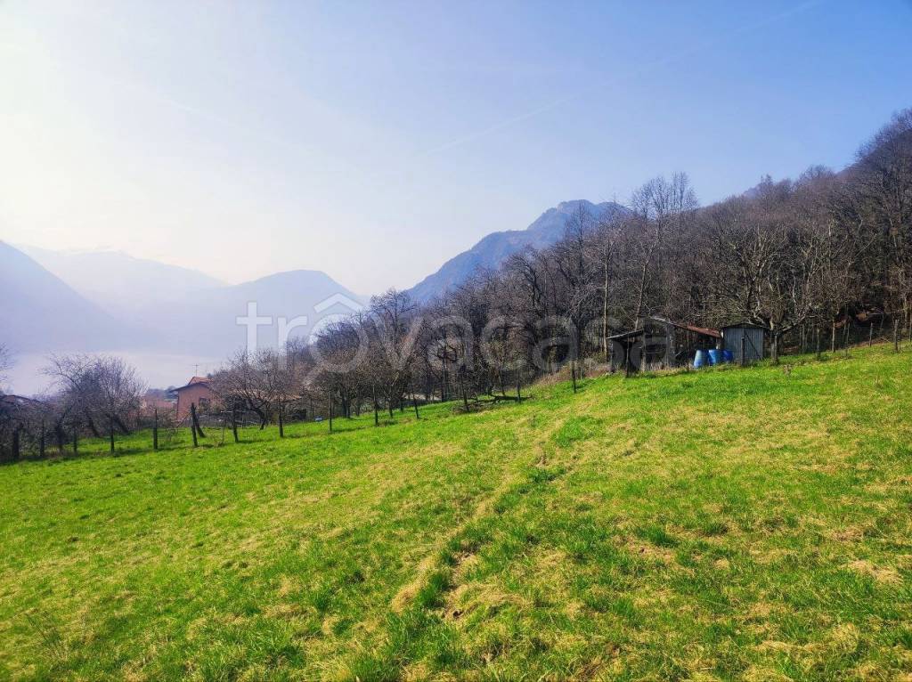 immagine annuncio 9 di 12