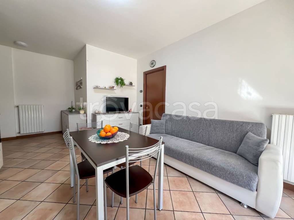 immagine annuncio 9 di 14