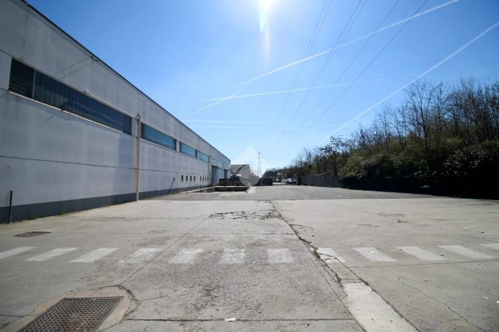 immagine annuncio 5 di 15