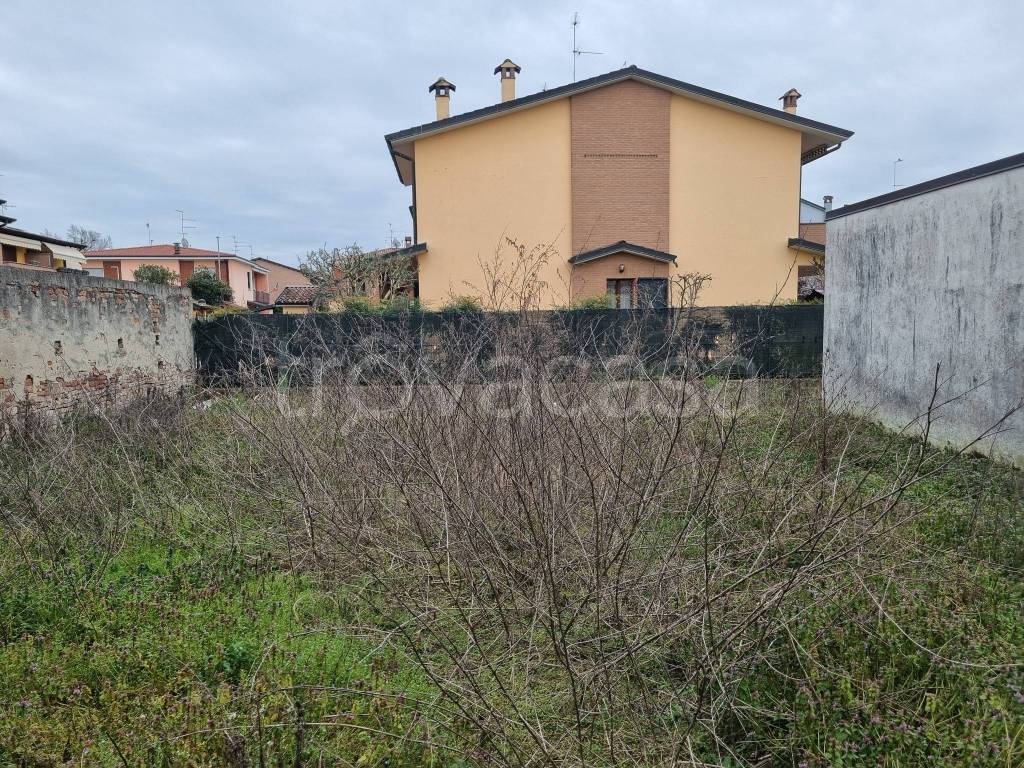 immagine annuncio 2 di 8