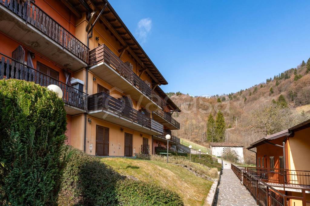 immagine annuncio 1 di 7