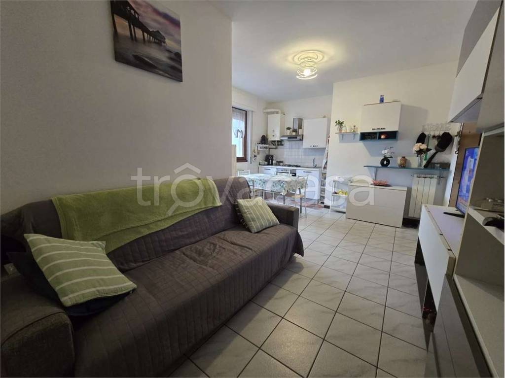 immagine annuncio 5 di 14